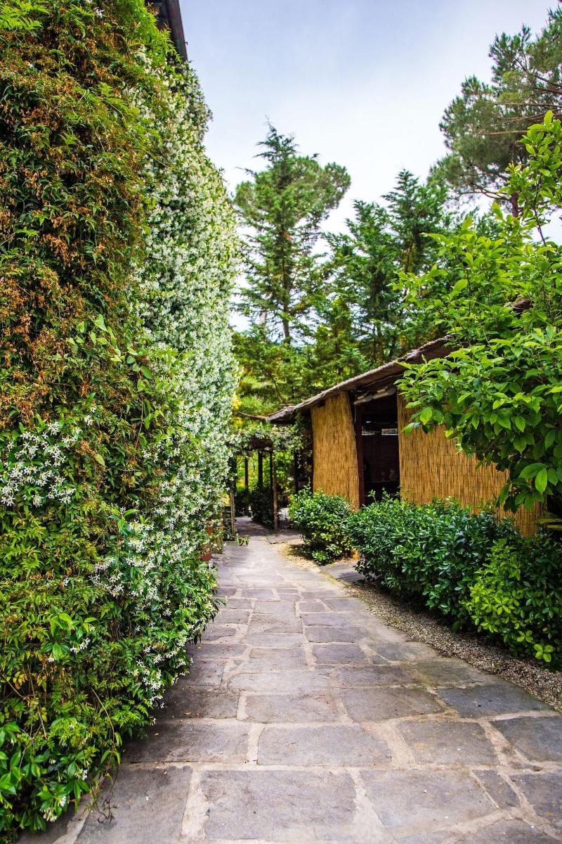 Casa Matilde - Genel