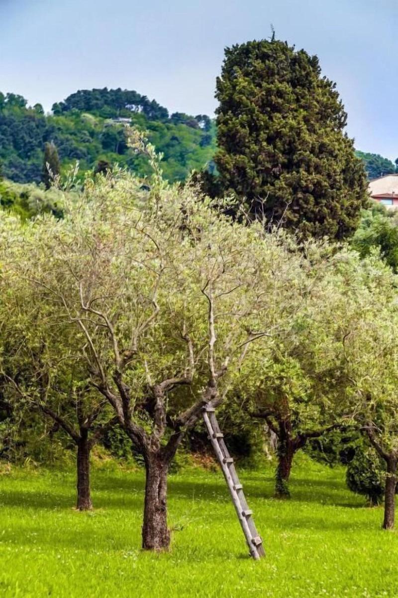 Casa Matilde - Genel