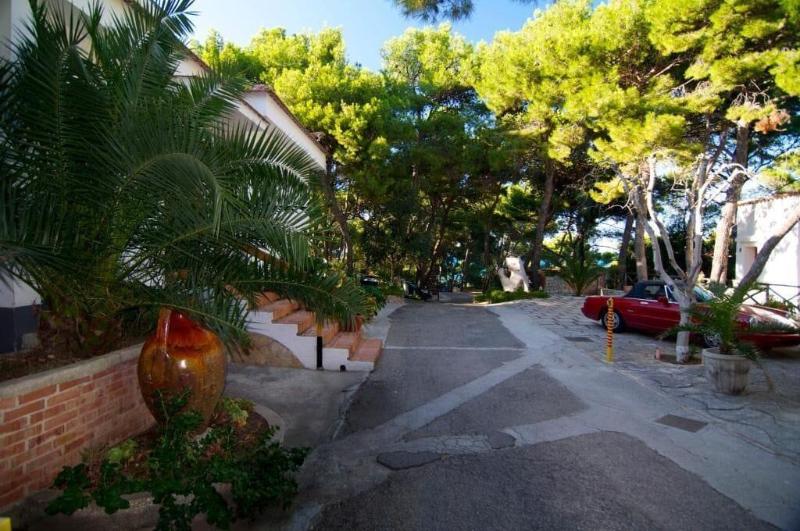 Residence M3 - Genel