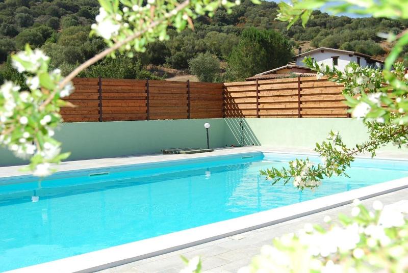 B&B Il Mirto di Paola - Aktivite