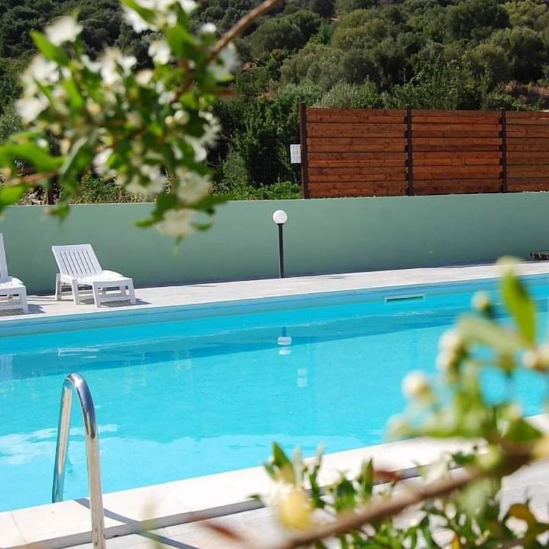 B&B Il Mirto di Paola - Havuz