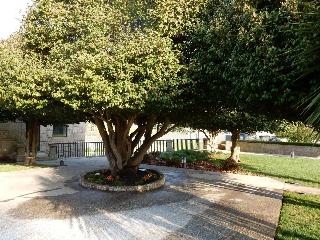 Quinta das Lavandeiras-Caldas de Vizela fotoÄŸrafÄ±