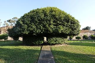 Quinta das Lavandeiras-Caldas de Vizela fotoÄŸrafÄ±
