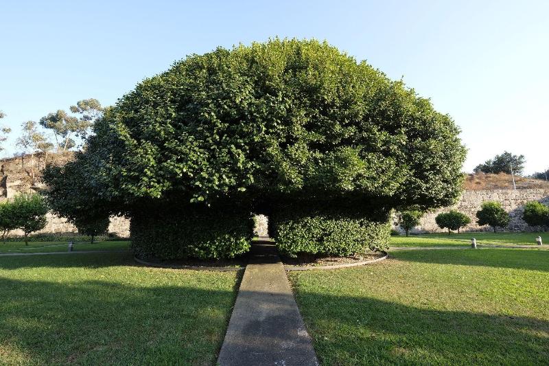 Quinta das Lavandeiras-Caldas de Vizela - Genel
