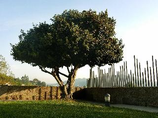 Quinta das Lavandeiras-Caldas de Vizela fotoÄŸrafÄ±