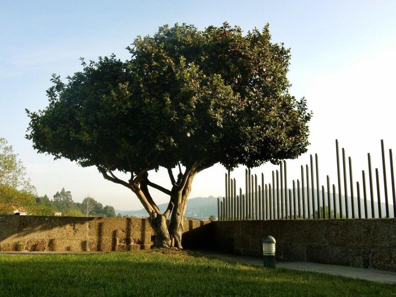 Quinta das Lavandeiras-Caldas de Vizela - Genel