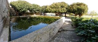 Quinta das Lavandeiras-Caldas de Vizela fotoÄŸrafÄ±