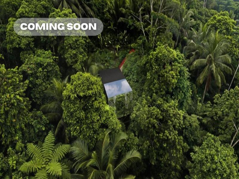 K CLUB UBUD - Oda