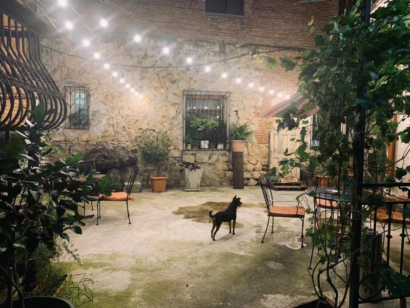 Gala Boutique Hotel - Genel