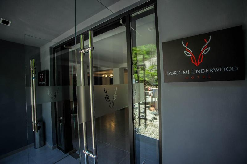 Borjomi Underwood Hotel - Genel
