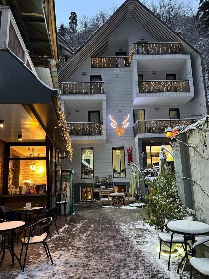 Borjomi Underwood Hotel - Genel
