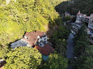 Borjomi Underwood Hotel otel fotoğrafı