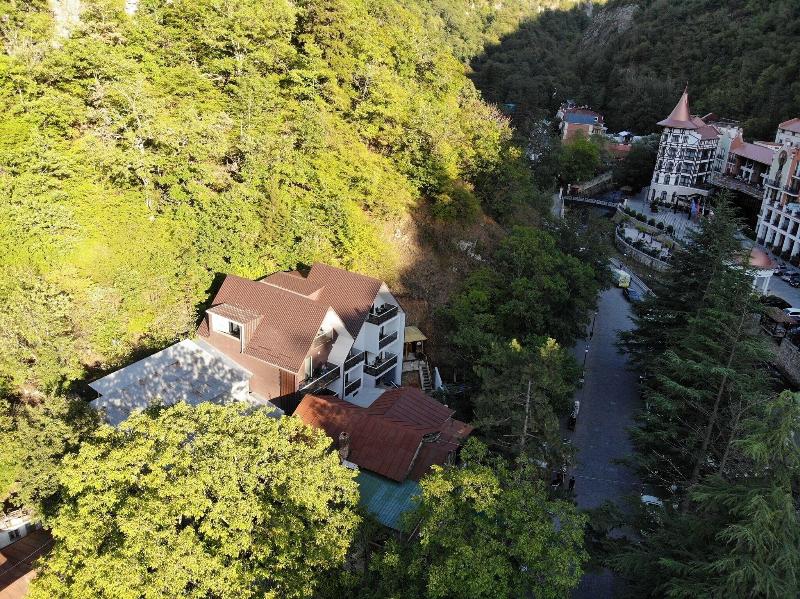 Borjomi Underwood Hotel - Genel