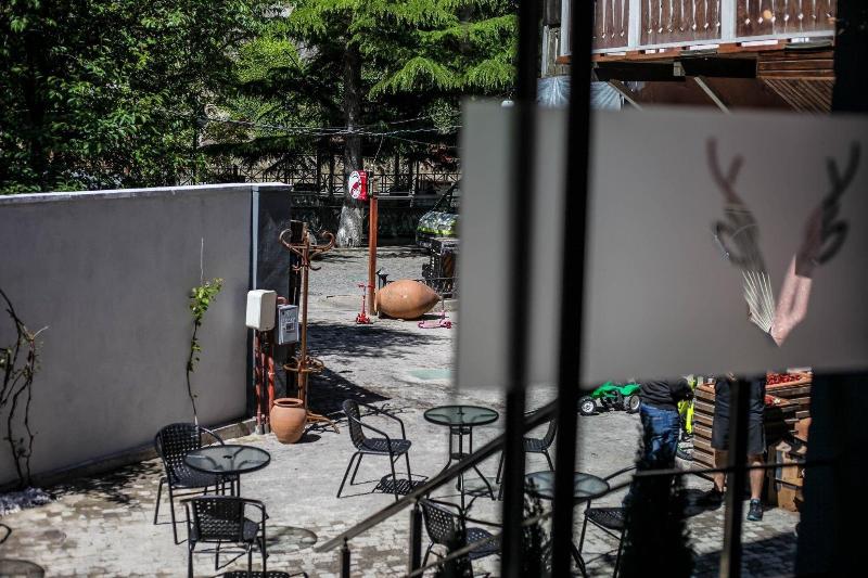 Borjomi Underwood Hotel - Genel