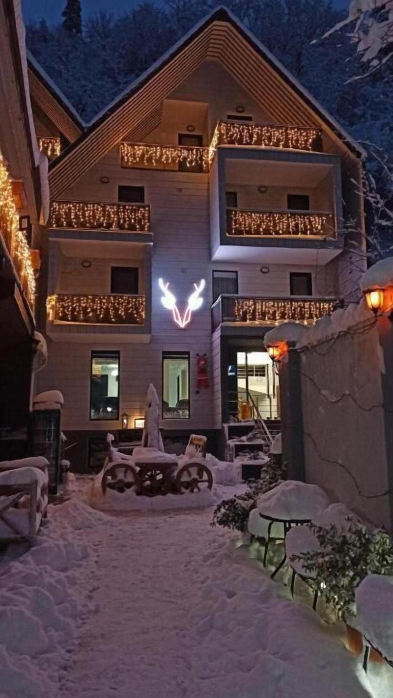 Borjomi Underwood Hotel - Genel