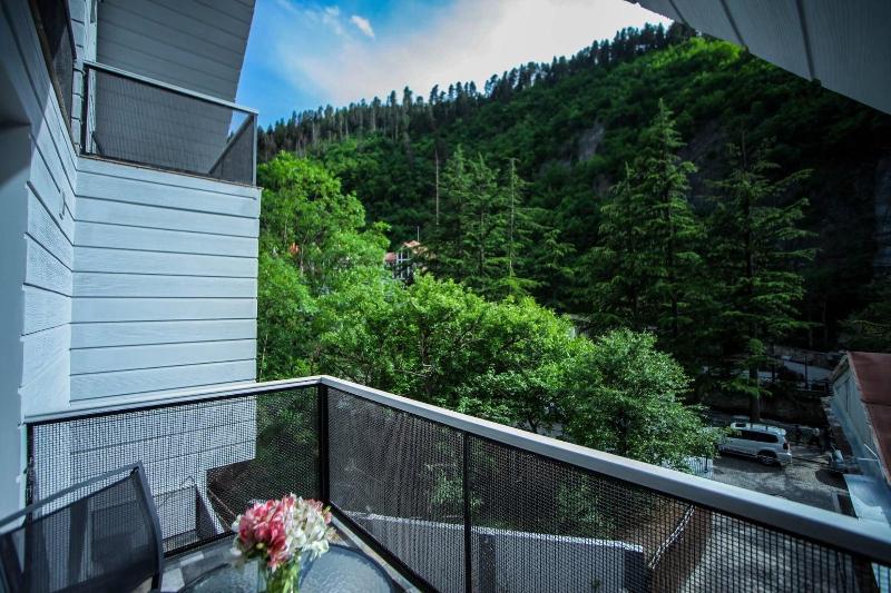 Borjomi Underwood Hotel - Oda