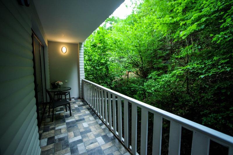 Borjomi Underwood Hotel - Oda