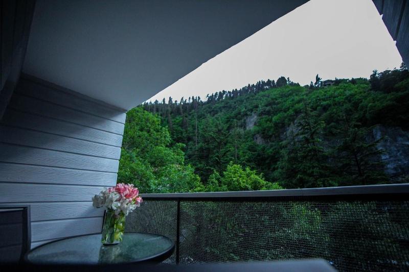 Borjomi Underwood Hotel - Oda