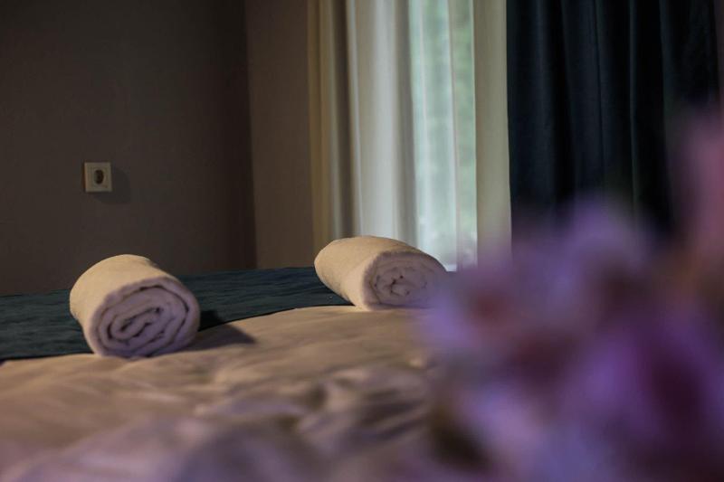 Borjomi Underwood Hotel - Oda