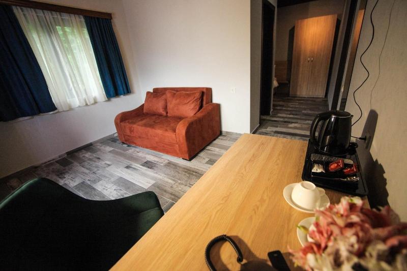 Borjomi Underwood Hotel - Oda