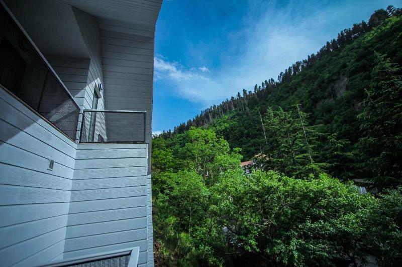 Borjomi Underwood Hotel - Oda