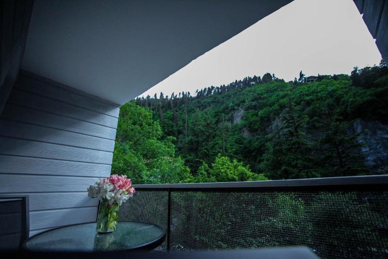 Borjomi Underwood Hotel - Teras