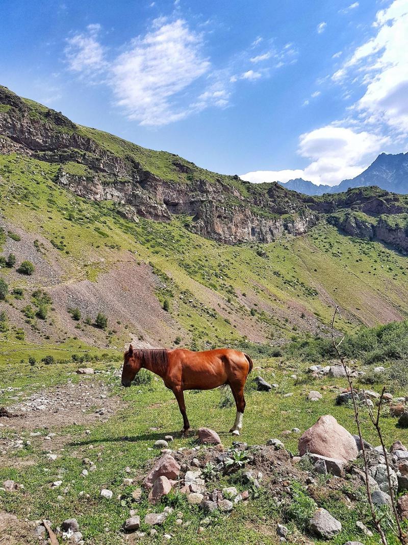 Cozy Hotel in Kazbegi - Aktivite