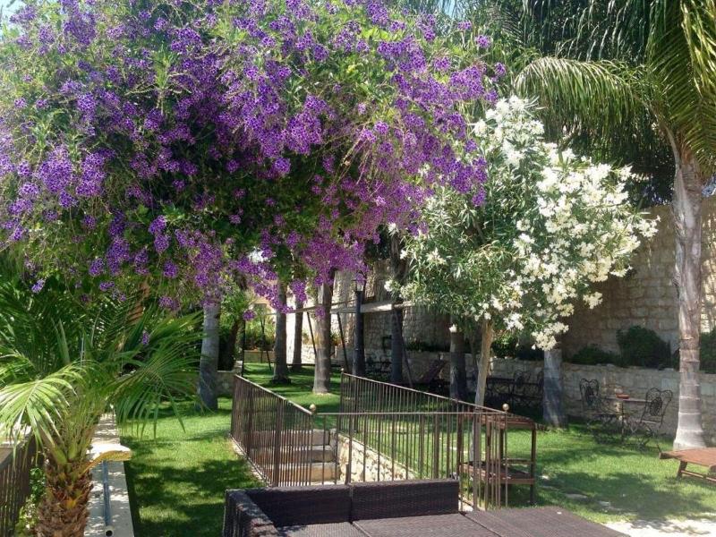 Borgo Hedone - Genel