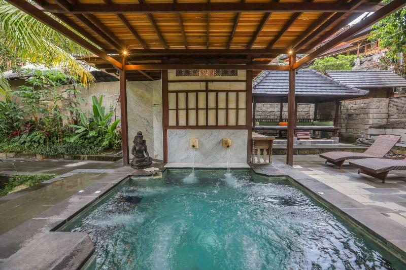Ubud Sari Health Resort - Aktivite