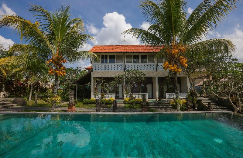 Ubud Sari Health Resort - Aktivite