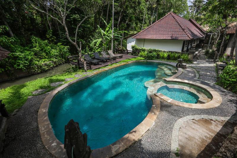 Ubud Sari Health Resort - Aktivite