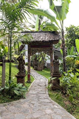 Ubud Sari Health Resort otel fotoğrafı