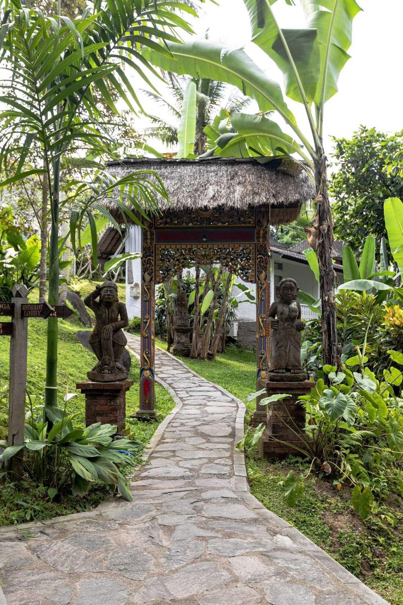 Ubud Sari Health Resort - Genel