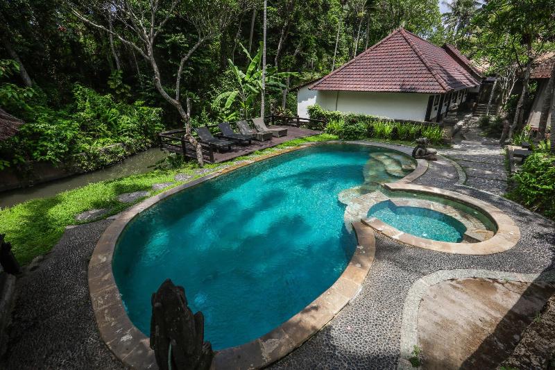 Ubud Sari Health Resort - Havuz