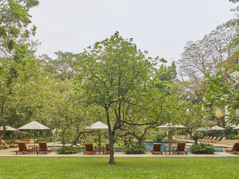 The Dharmawangsa Jakarta - Havuz