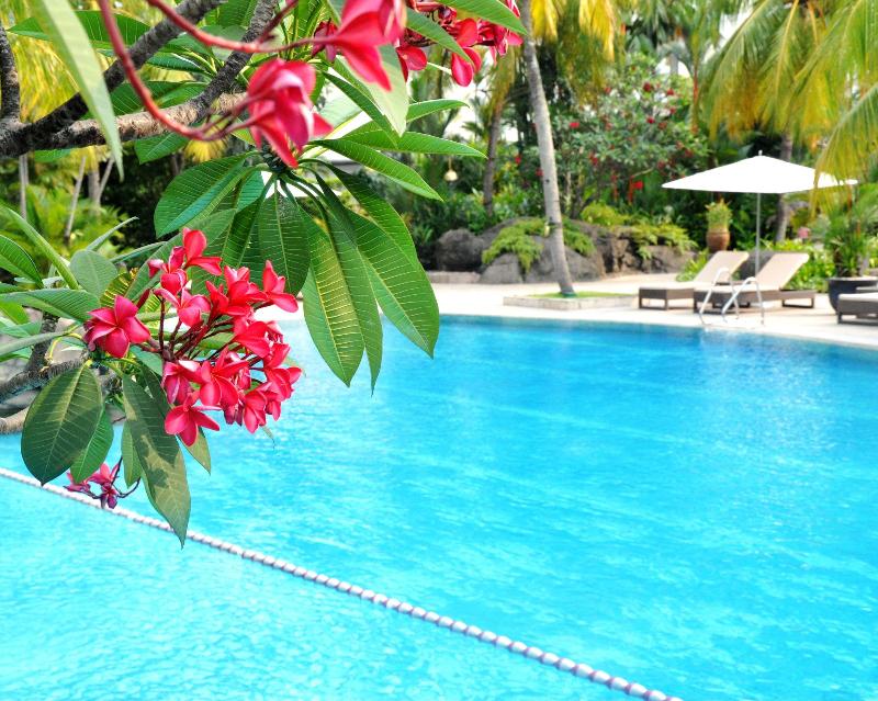 Grand Hyatt Jakarta - Havuz