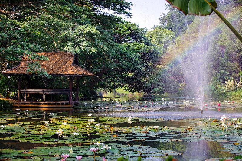 Lampang River Lodge - Genel