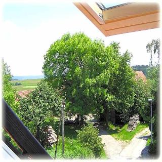 Gasthof Traube fotoÄŸrafÄ±