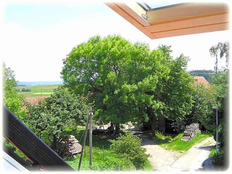 Gasthof Traube - Oda