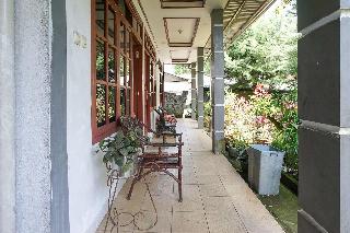 Mountain View Homestay by ZUZU fotoÄŸrafÄ±