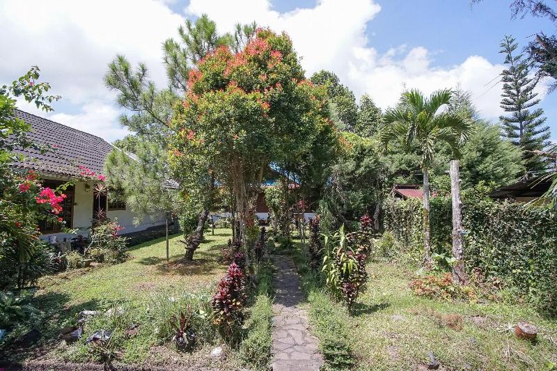 Mountain View Homestay by ZUZU - Genel