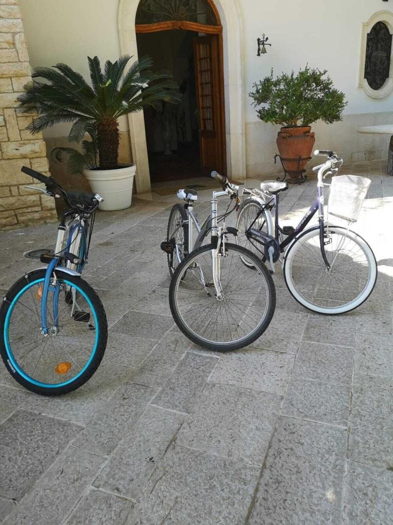 Villa delle Querce Resort - Aktivite