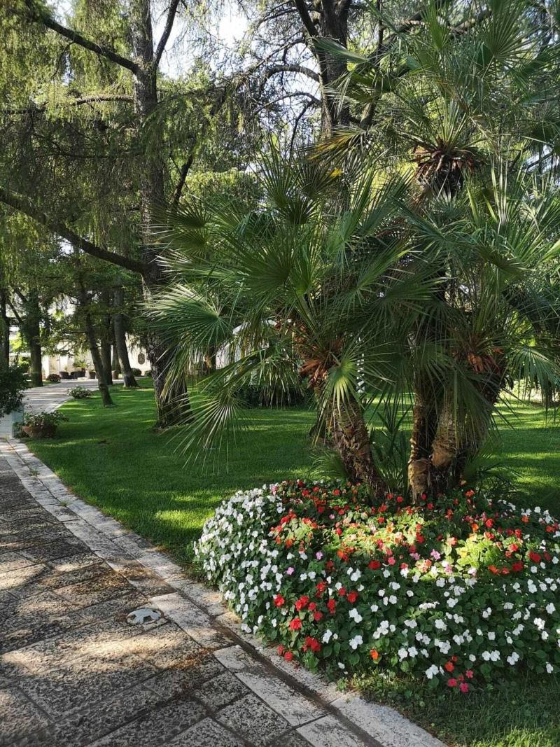 Villa delle Querce Resort - Genel