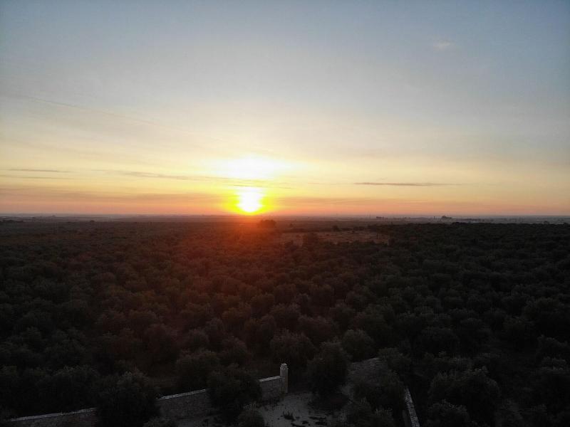 Villa delle Querce Resort - Genel