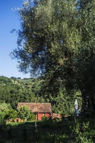 Agriturismo Murikè otel fotoğrafı