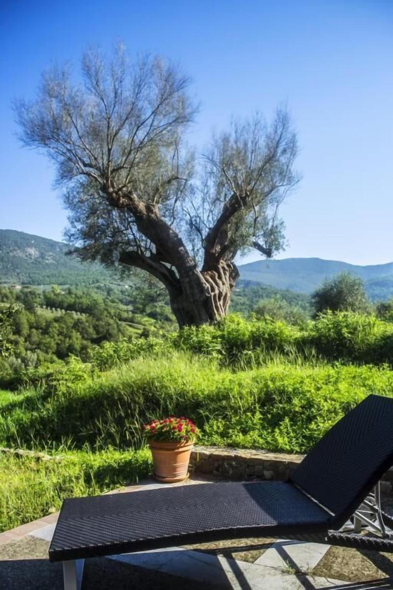 Agriturismo MurikÃ¨ - Teras