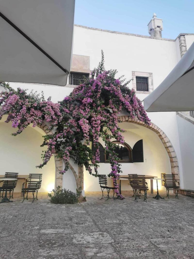 Agriturismo Masseria Del Crocifisso - Genel