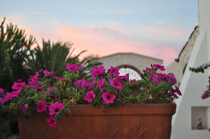 Agriturismo Masseria Del Crocifisso - Oda