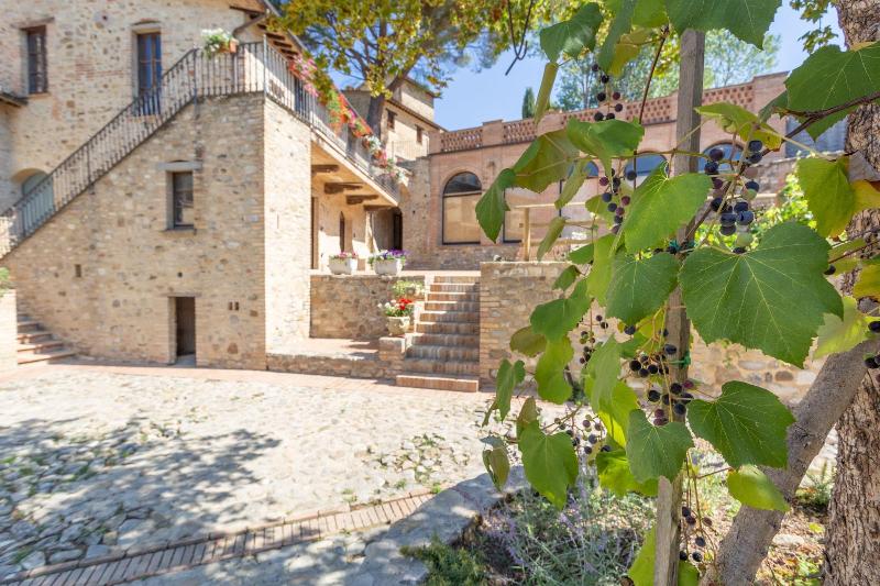Gh Borgo Pulciano Agriturismo - Genel
