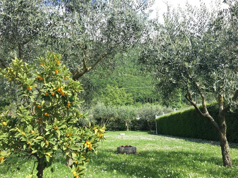Residence Gonda&Giuliano - Genel